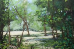 PG_FORET_12